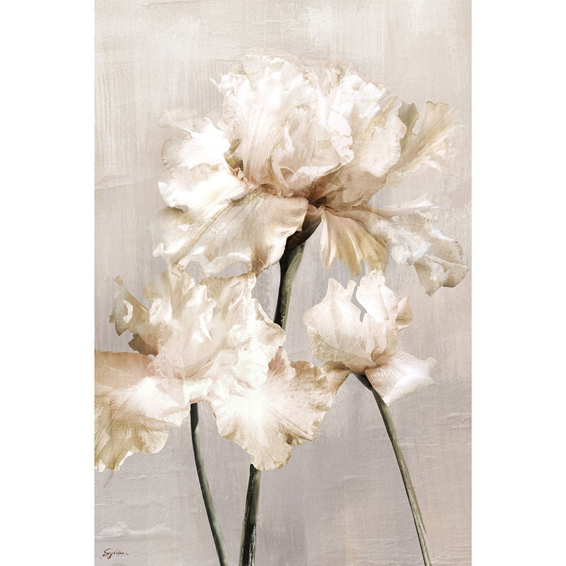 Floral Stem Framed Canvas Wall Art B
